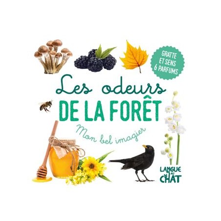 Les odeurs DE LA FORÊT