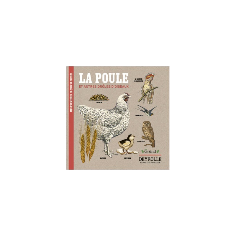 LA POULE et autres drôles d'oiseaux