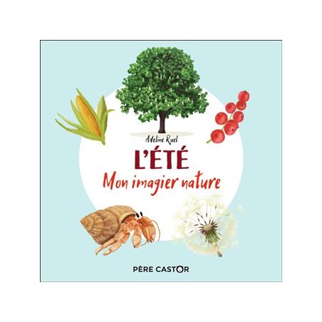 L’ÉTÉ Mon imagier nature